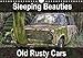 Produktbild Sleeping Beauties Old Rusty Cars (Wall Calendar 2017 DIN A4 Landscape): Old, rusty, abandoned classic cars (Monthly calendar, 14 pages ) (Calvendo Hobbies)