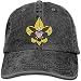 Produktbild Dy-Home America BSA Logo Adult Individuality Cowboy Hat