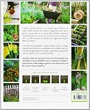 Image de Las mejores ideas para cultivar tu huerto: Trucos y consejos para conseguir la mayor productividad con el mín