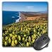 Produktbild Lupinen bei Point Reyes National Seashore. California, USA – Maus Pad, 8 von 20,3 cm (MP 190101 _ 1)