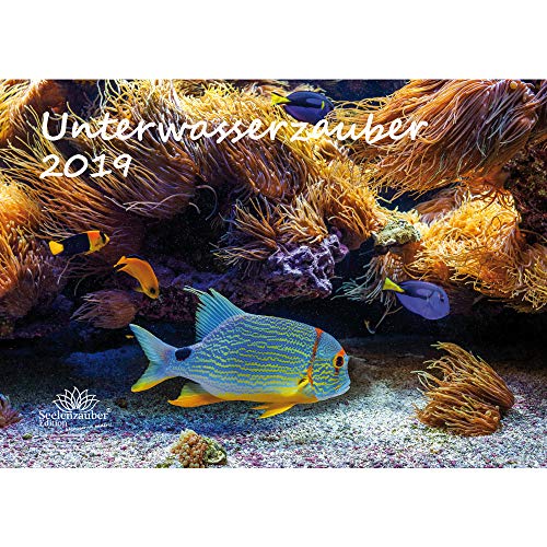 Download Sous l'eau magique – Format A3 – Haute Calendrier 2019 – Sous l'eau – plongée – Poissons – Mer – Coffret cadeau avec 1 carte de vœux et 1 carte de Noël – Édition âme magique