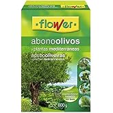 Flowers - OLIVE MANUFACTURER AND MEDITERRANEAN PLANTS