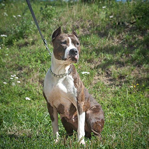 Strong-Chrome-Semi-Check-Half-Choke-Chain-Dog-Choke-Collar-Metal-Choker