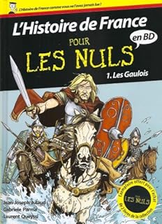 jaquette livre L'histoire de France pour les nuls