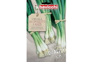 Bavicchi buste semi orto plus (Cipolla da cipollotti a mazzi)