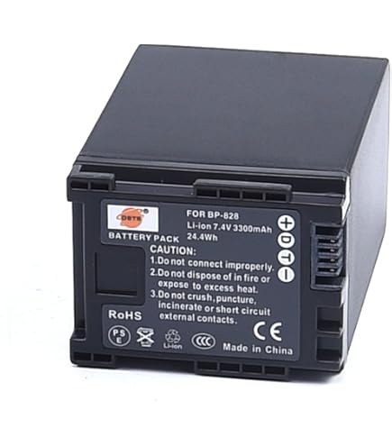 BP-820 Chargeur de Batterie AC/DC Wall/Car Single pour Canon BP820 BP828 BP-807 BP-808 BP-808D BP-809 BP-819 BP-819D BP-827 BP-827D CG-800 CG-800E VIXIA HF G20 G30 XA20 XA25 Video Camcorder