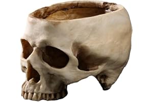 Qivange Resin Skull Head Flower Pot Halloween Decorations Plant Bowl Multifunctional Skull Plant Pot Container for Festival Home