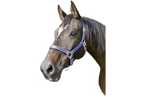 COVALLIERO KERBL Mustang Licol pour Cheval Bleu Roi/Noir Taille 2