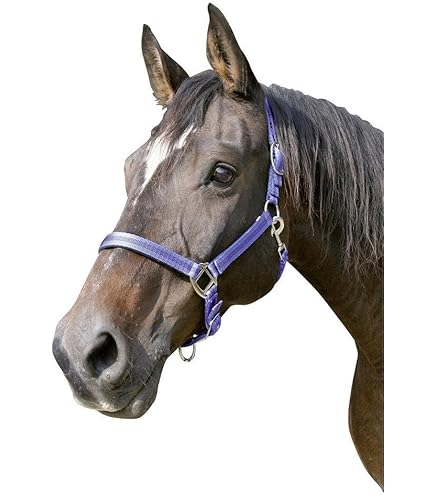 Weaver Leather Basic Non - Adjustable Nylon Halter - Turquoise - 1 Inch - Foto 9