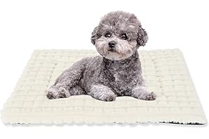 BVAGSS Flauschiges Orthopädisches Hundebett, Waschbar Hundematte, rutschfeste Unterseite, Plüsch Hundekissen Weiche und Warme Hundematte für klein mittel große Hunde XH082 (90x60cm,Weiß)