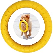 19-teiliges Hundespielzeug-Set – Kauspielzeug Für Aggressive Kauer, Mit Quietschbällen Und Seilen