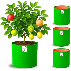 ORGANIC BAZAR 18x18 Big Size Grow Bags for Terrace Gardening, Premium HDPE Green-Orange Large Planters for Fruit Tree (Pack of 4)