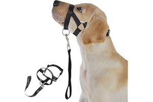 WUDQIJI Ausbildungsgeschirr Hundehalfter Haustier Maulkorb Für Hunde Maulkorb Hunde Trainingsmaulkorb Hund Maulkorb Schwarz Hundemundschutz Training Halter verhindert Bellen Beißen und Kauen (XL)