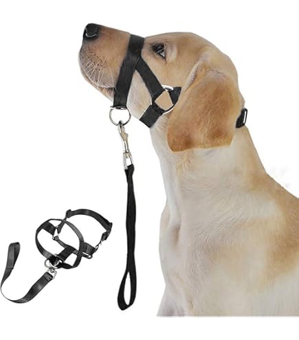 Halster voor honden, halster, training hoofdhalster, trainingshulpmiddel voor hond, hoofdharnas om te stoppen met trekken aan de lijn, gemakkelijk te gebruiken, gevoerde neusband, verstelbaar (4, Rood