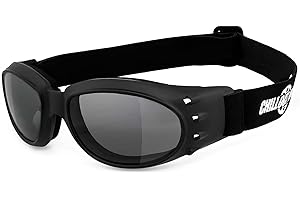 Chillout Rider® | Motorradbrille, Motorrad-Sonnenbrille, winddicht, Herren & Damen | antibeschlag, beschlagfrei, windabweisend, bruchsicher | HLT® Sicherheitsglas | Modell: CR008-a