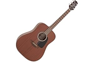 Takamine GD11M-NS