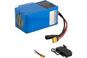 UURRPP Batteria agli ioni di litio 24V 6Ah 12Ah 9Ah con caricatore da 29.4V 200W-700W 250W 300W 350W 400W 500W Può essere utilizzato per scooter auto giocattolo ecc