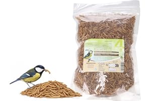 vers de Farine – Nourriture Oiseaux extérieur – Mangeoire Oiseaux extérieur – 300 g – Flamingo