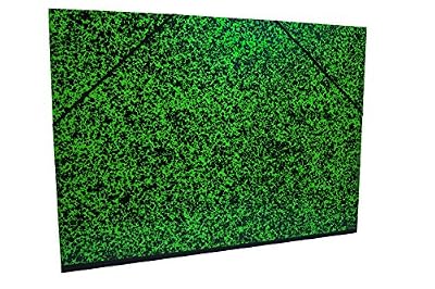Clairefontaine 93244C Carton à dessin Annonay 52x72cm Vert