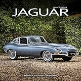 Jaguar 2020: Original Avonside-Kalender [Mehrsprachig] [Kalender] (Wall-Kalender) by 