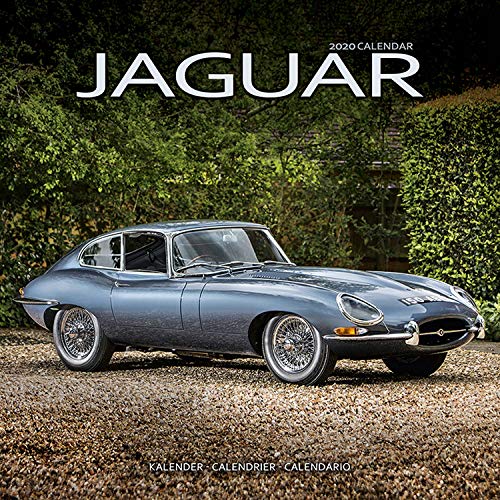 Jaguar 2020: Original Avonside-Kalender [Mehrsprachig] [Kalender] (Wall-Kalender)