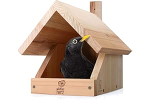 wildtier herz I Amsel Nistkasten aus verschraubtem Massiv-Holz - 25 x 28.5 x 27 cm, Wetterfest & Unbehandelt, Vogelhaus für Halbhöhlenbrüter, Halbhöhle für Amseln, Rotkehlchen & Co.