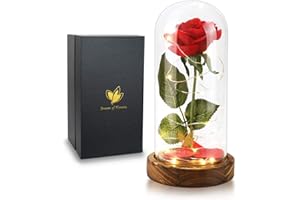 DREAM OF FLOWERS Fête des mères Rose la Belle et la bete Rose Romantique pour Femme dans Un dôme en Verre avec lumière LED Base en Bois pour Mariage, Saint-Valentin Cadeau Anniversaire Femme Fete des Meres