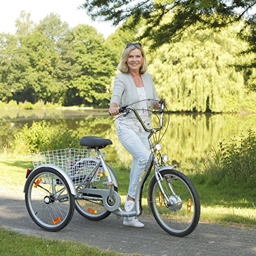 Preisvergleich Produktbild Elektro-Dreirad 24 Zoll, 3-Gang