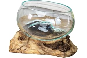Darthome Teak Root with Mini Molten Glass Fruit Bowl 12x13x12cm Glass Rustic Wood Base Sculpture
