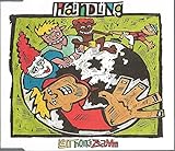 Leit hoit's z'samm - Haindling