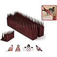 CHANCEUX Anti Bird Plastic Spikes Brown (20 pcs Set) for AC Balconies Window Home Protection from Pigeon Dog Monkey Crow Kabootar -Area Covers 20 FT - kabutar Control Scare Repellent Balcony Railing