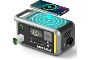 Litheli Portable Power Station B300 336Wh Power Generator with Pure Sine Wave AC Output, 100W PD Fast Charging Solar Generator with AC/DC/USB for Camping, Gardening, Caravanning, Parties, Emergencies