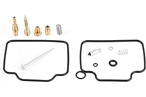 YCTZE Kit de reconstrucción de carburador de Motocicleta Juegos de Herramientas de reparación de carburador Reemplazo 0201‑318 Ajuste para Rebel 250 CMX250 C 1986‑2012 Black Friday Cyber ​​Monday Boxi