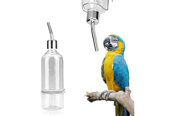 budgie sipper bottle