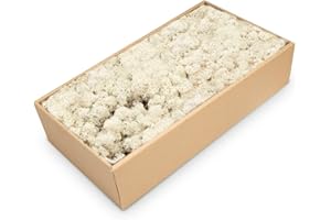NaDeco Islandmoos Natur, konserviert, verpackt im Karton mit ca. 500g | Moos zum Basteln und Dekoration | Moosbild selber Machen | Rentier Moos | Rendier Moos | Deko Moos | Bastel Moos | Dekomoos