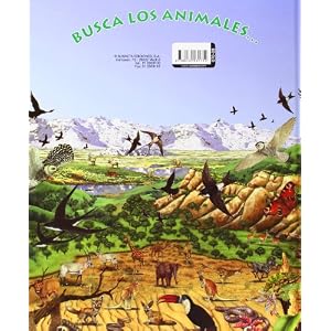Busca los animales de la selva/ In Search of the Wild Animals