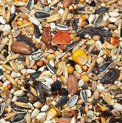 Ruvo Fasanenfutter 25Kg Körnermischung