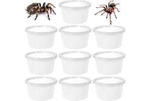 HIXNUG Spider Terrariums Breeding Box Reptile Plastic Breeding Box Small Round Hatching Container Insect Feeding Box for Spider Scorpion (10)