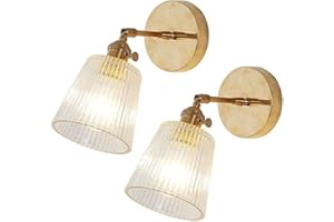 FROIDEXG Lámpara De Pared Lámpara De Pared De Vidrio Acanalado Vintage Ángulo Ajustable Lámparas De Pared Acabado De Latón Aplique De Pared Armado Con Pantalla De Copa