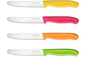 targzier Tomato Knives Set of 4,Stainless Steel Utility Knife,Serrated Kitchen Knife,Multicolor Tomato Knifes,Fruit Knife&Small Bread Knife,Robust Plastic Handle,Yellow&Pink&Orange&Green