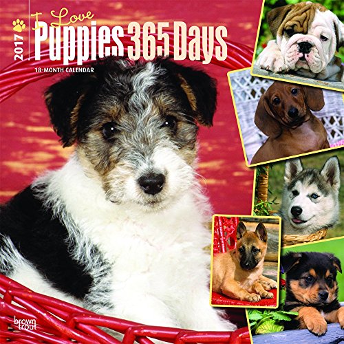 Download I Love Puppies 365 Days, 2017 Square Wall Calendar Download I Love Puppies 365 Days, 2017 Square Wall Calendar