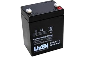 Batería AGM 12V 2.9Ah C-20 Sin Mantenimiento - Equipos Seguridad/Médicos/SAI/Comunicación/Emergencia | LIVEN LV2.9-12