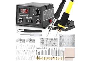 XIIW 100W Kit Pirografo Per Legno Penna Pirografica con Pennino a Filo + Penna Pirografica a punta solida 2-IN-1 con 33 punta a filamento e 37 Pirografo con punta piena (EU PLUG)