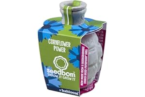 Kabloom - Eco Friendly Cornflower Power Seedbom - Gardening Gifts - Flower Seeds - Cornflower & Blue Wildflower Seed Mix - Seeds for Planting UK