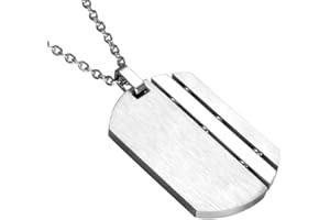 PAURO Herren Edelstahl Matte Gebürstetem Silber/Gold Militär Armee Hundemarke Anhänger Charm Halskette