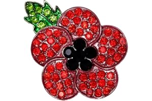 QGSIWEI Red Poppy Brooch Lapel Pin Enamel Badge Ribbon Flowers Green Leaf Lest We Forget Legion Remembrance Day Peace 2025