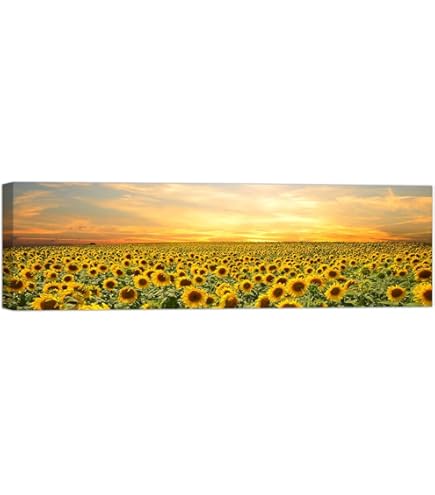 Pixxprint Campo di Girasole Enorme Stampa su Tela 100x70 cm Pixxprint Campo di Girasole Enorme Stampa su Tela 100x70 cm
