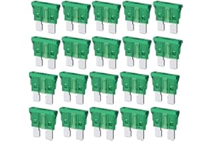 Gebildet Fusibili per Auto Standard da 30A, Fusibile a Lama ATC ATO per Autoveicoli da 30A, Fusibili per Auto da 30A per Camper, Camion, SUV (Confezione da 20 Pezzi)