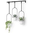 Umbra - Ensemble De 5 Pots Suspendus Trflora, Blanc