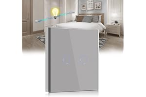 BSEED Interruptor táctil de Pared-2 Gang 2 Vías Interruptor tactil Pared Gris,Interruptores de luz Pared con Panel de Vidrio Templado